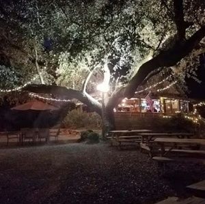 Meet your Posher, Dallas